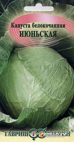 капуста белокочанная июньская капуста белокочанная июньская
