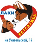 Корком Интернет Магазин Для Животных Спб Корком Интернет Магазин Для Животных Спб
