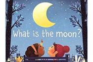 Lift-the-Flap Very First Questions and Answers: What is the Moon?