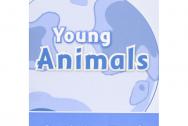 Oxford Read and Discover 1 Young Animals Activity Book