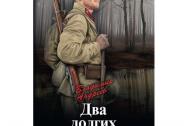 Два долгих дня. Андреев В. М.