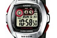 Casio W-210-1D