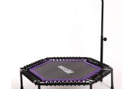 Батут BASEFIT TR-401 101 см с держателем, фиолетовый