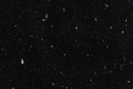Стеновая панель Троя Стандарт 10-я группа цвет: 9144 luc Черный GALAXY