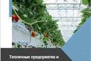 Полная База теплиц Южного ФО: контакты, мощности, технологии, основные показатели, планы