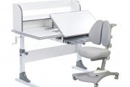 Комплект парта Nerine Grey + кресло Fortuna Grey