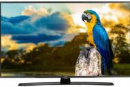 LG 49LH604V