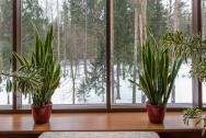 Подоконник ПВХ Moeller 250 мм Золотой дуб матовый