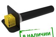 ТП-68 Парапетная воронка 110 L700