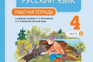 Желтовская. Русский язык 4 класс. Рабочая тетрадь. Часть № 2